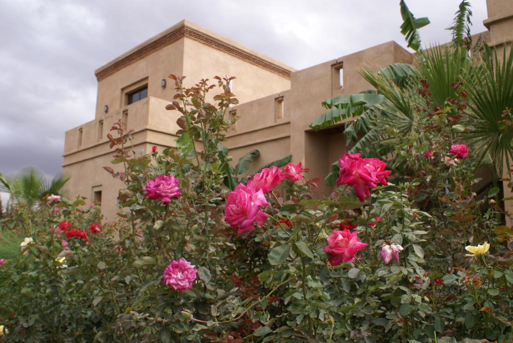 La Kasbah Aalma D'Or 호텔 Najem 외부 사진